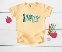 Load image into Gallery viewer, Panthers Pennant Youth Tee
